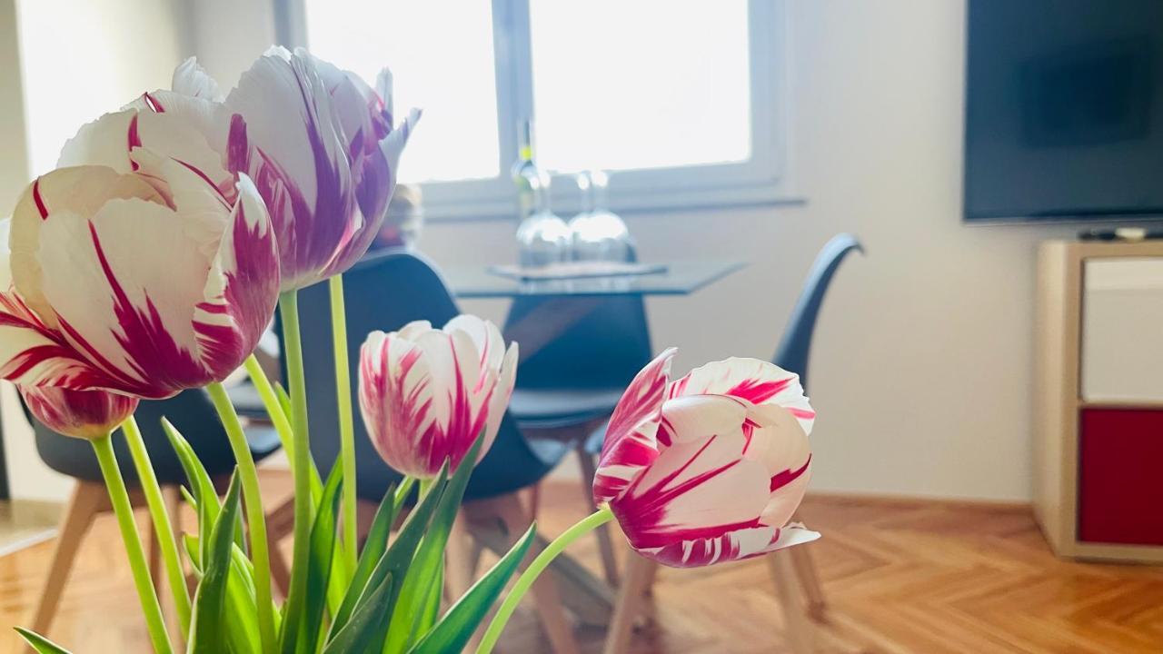 Apartment Iva 里耶卡 外观 照片